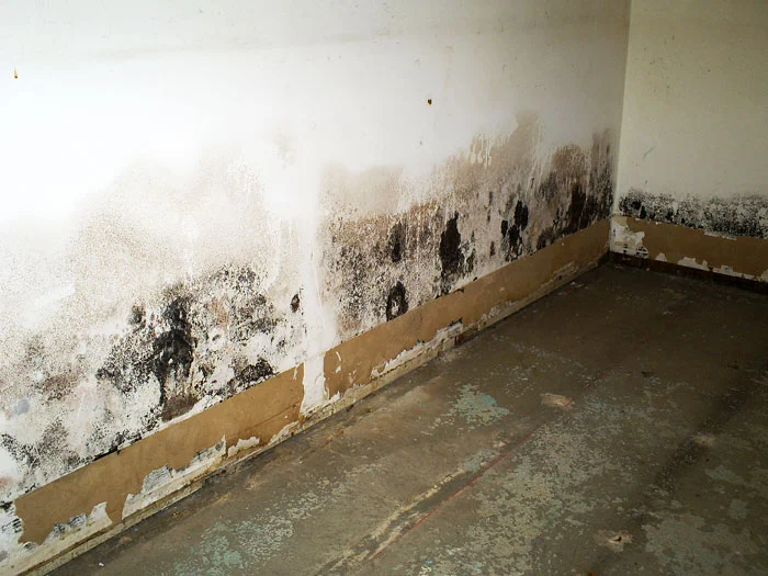 plasterboard water damage NOT WITH FLOODCLAD